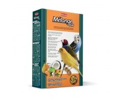 Padovan Melange Fruit дополнительный корм для зерноядных птиц фрукты/яйцо 300г