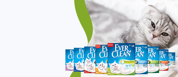 Ever Clean 